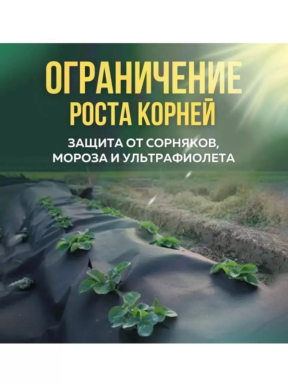 Укрывной материал АГРОСПАН (спанбонд) №60 3,2м*10м черный