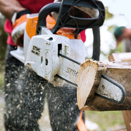 Аккум. пила STIHL MSA 160 C-BQ 12" (30см) 1/4 P 1.1, 36В, Li-Ion, без акк. и ЗУ