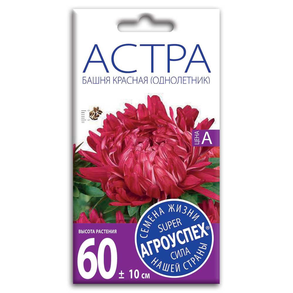 Астра Башня красная (Агроуспех) 